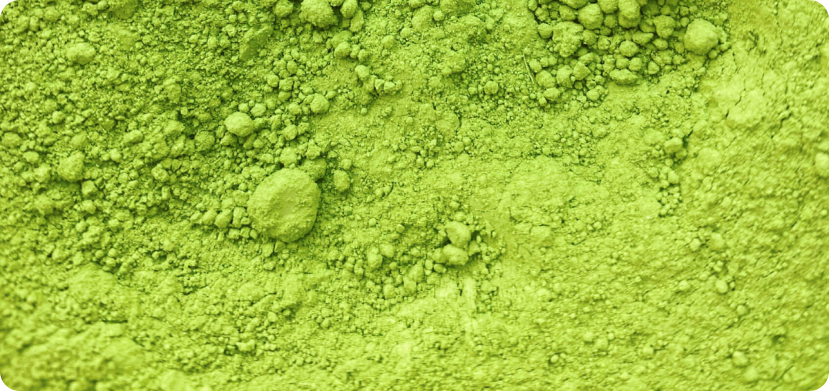 Premium Bulk Organic Matcha Powder: Your Wholesale Source for Quality ...