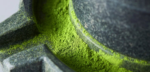Discover Organic Bulk Matcha Powder Wholesale Supply Direct from Japanese Farms