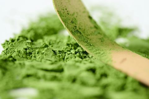 Premier Source for Japanese Matcha Wholesale: Premium Quality for Business