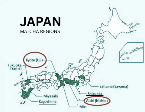 Unveiling the Origins: What Does Matcha Powder Come From?
