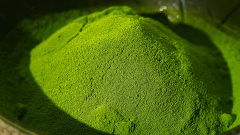 Does Matcha Have Magnesium? Unpacking the Nutritional Benefits