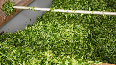 Unlock Premium Quality: Your Guide to Sourcing Matcha Powder Wholesale