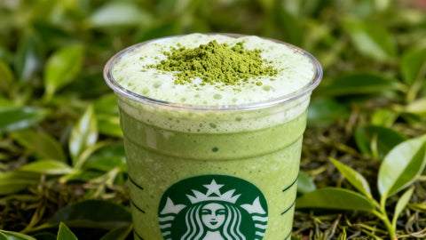 Starbucks matcha latte with green tea leaves.