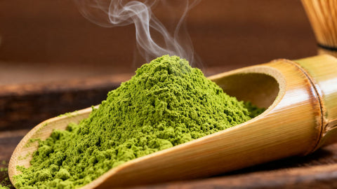 Matcha powder in a bamboo scoop