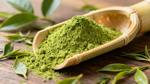 Vibrant green matcha powder in a bamboo scoop.